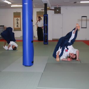 DSC 0041