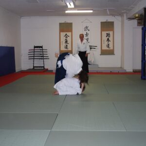 DSC 0044