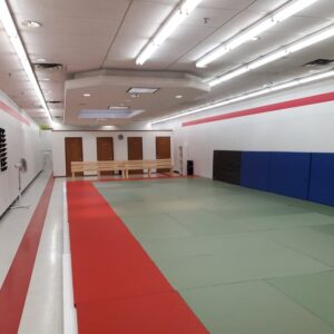 Bushido Budo - Tenshinkai Aikido Edmonton