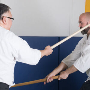 Bushido Budo - Tenshinkai Aikido Edmonton
